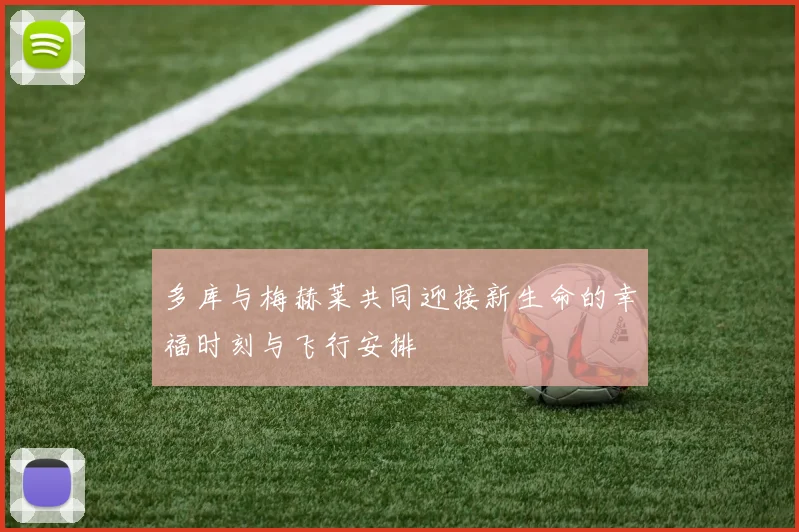 多库与梅赫莱共同迎接新生命的幸福时刻与飞行安排